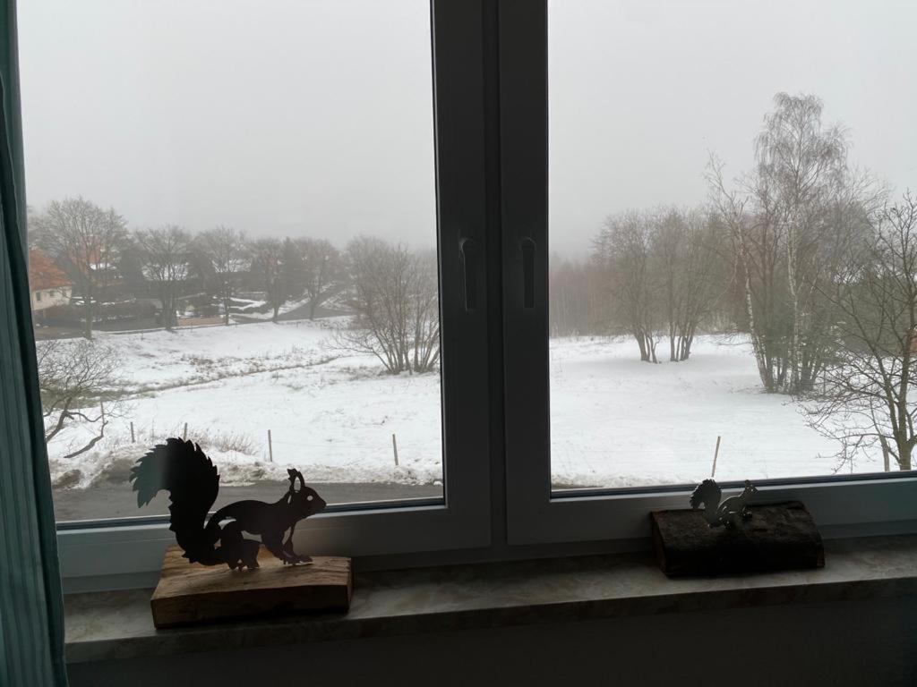 Urlaubshaus-Braunlage Wg 3 Apartment Bagian luar foto